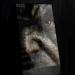 hulk-11.webp